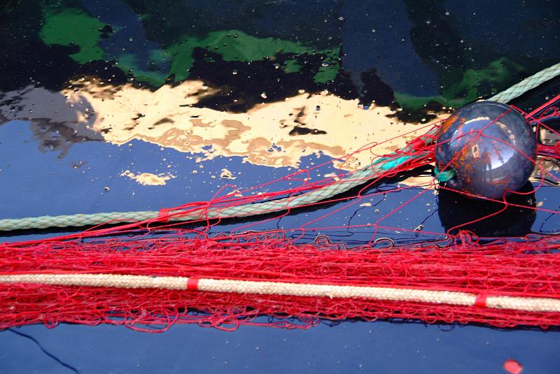 Fileyeur St Jean de Luz ad3.JPG